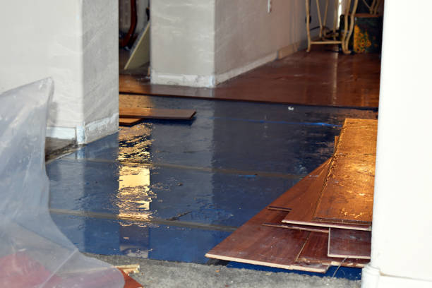 Professional Water Damage Restoration technician working in Appleton, MN